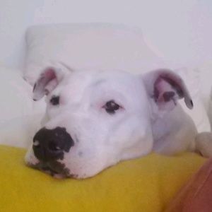 Meet your Posher, Seema